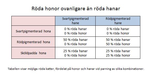 Ovanligt med röda katthonor