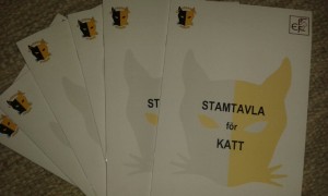 Stamtavla för katt