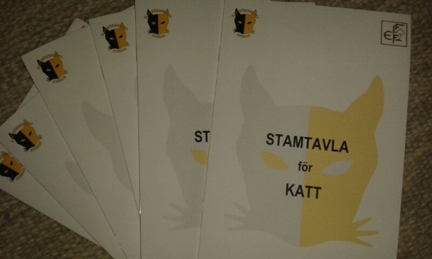 Stamtavla för katt