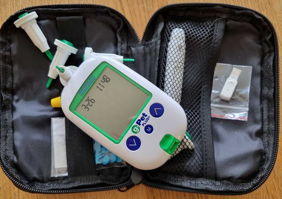 Kitt för att ta insulinprov på diabeteskatt